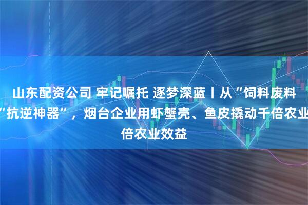 山东配资公司 牢记嘱托 逐梦深蓝丨从“饲料废料”到“抗逆神器”,烟台企业用虾蟹壳、鱼皮撬动千倍农业效益