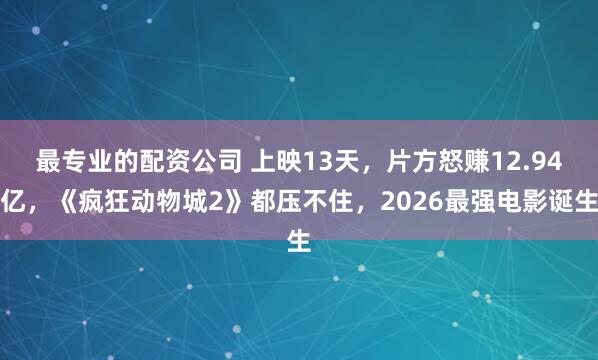 最专业的配资公司 上映13天,片方怒赚12.94亿,《疯狂动物城2》都压不住,2026最强电影诞生