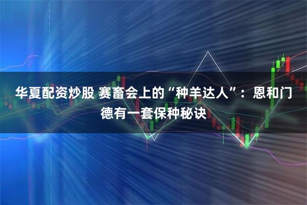 华夏配资炒股 赛畜会上的“种羊达人”：恩和门德有一套保种秘诀